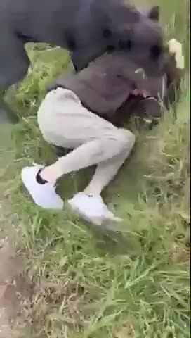 A man sets up an online meeting with a 12-year-old girl. Upon his arrival ...