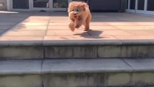 Jumping ain’t no issue anymore