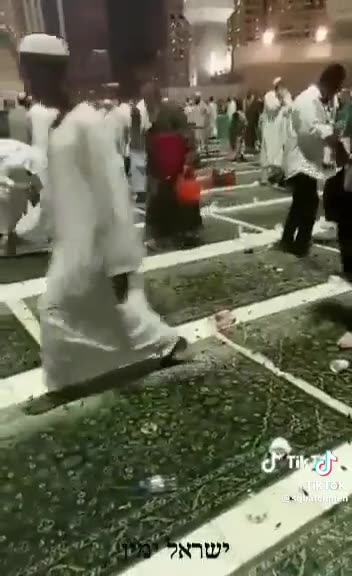 Mecca invaded by roaches and Locust.