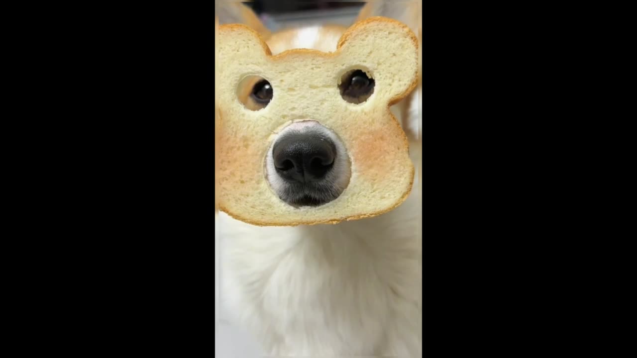 toast