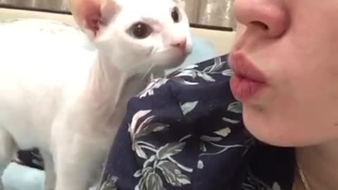 The cat can't even look at your face