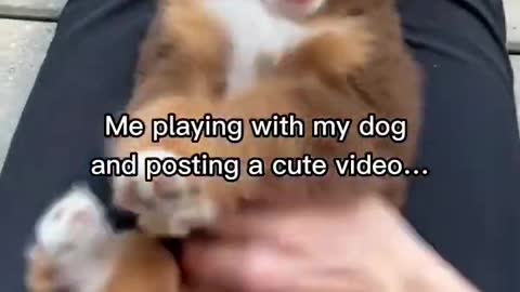 Our puppy video went viral