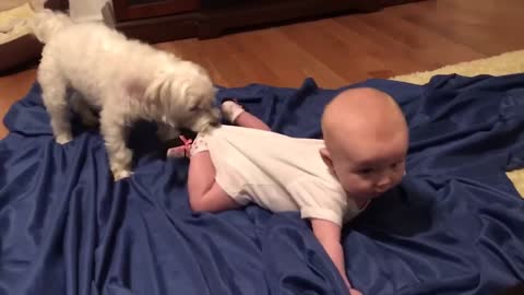 Cute Babies Playing With Dogs Compilation _ Funny Baby And Pets~8