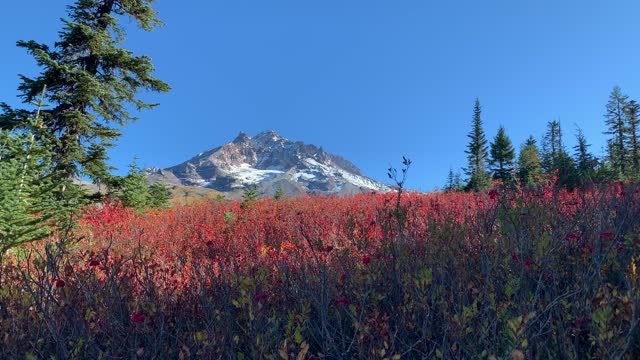 Oregon – Mount Hood – Admiring Autumn Colors – 4K