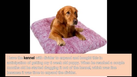 MidWest Homes for Pets Deluxe Dog Beds |-Overview