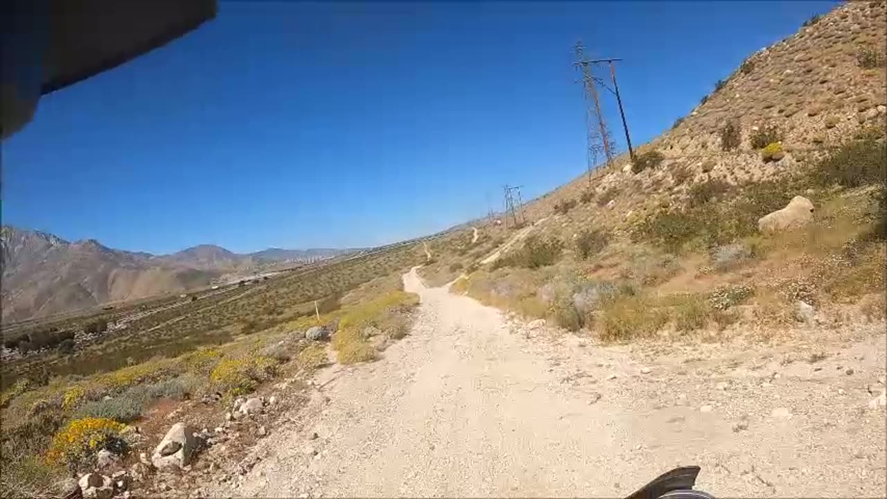 UNEXPLAINED CRYPID CAUGHT ON GOPRO!!