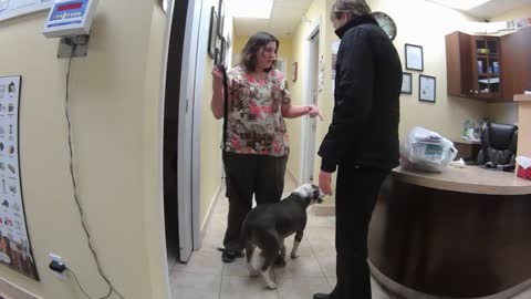 WHITE OAKS ANIMAL HOSPITAL