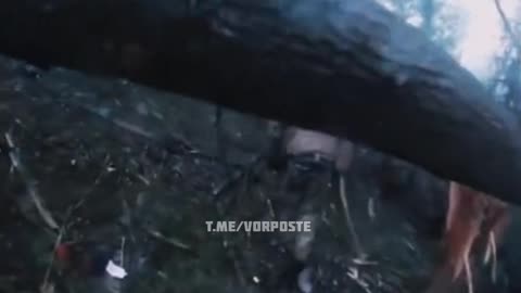 Ukraine's POV in trenches defence. (swear +18)