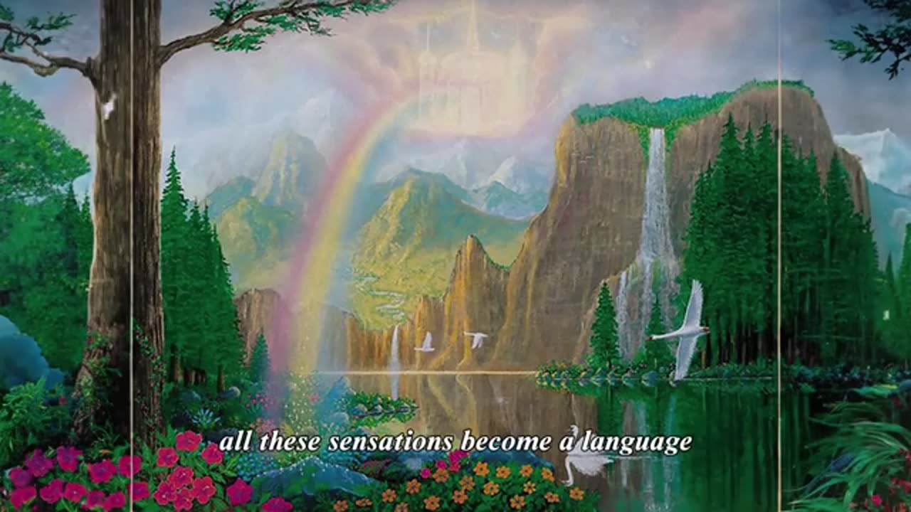 How to Know if You're Ascending to The 5th Dimension | 7 Signs You’re Shifting