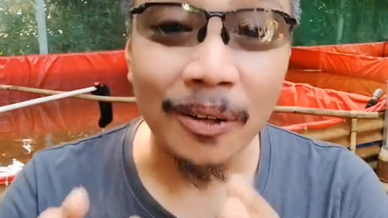 Cara membedakan Lele gak mau makan karena penyakit dan lele gak mau makan karena kenyang