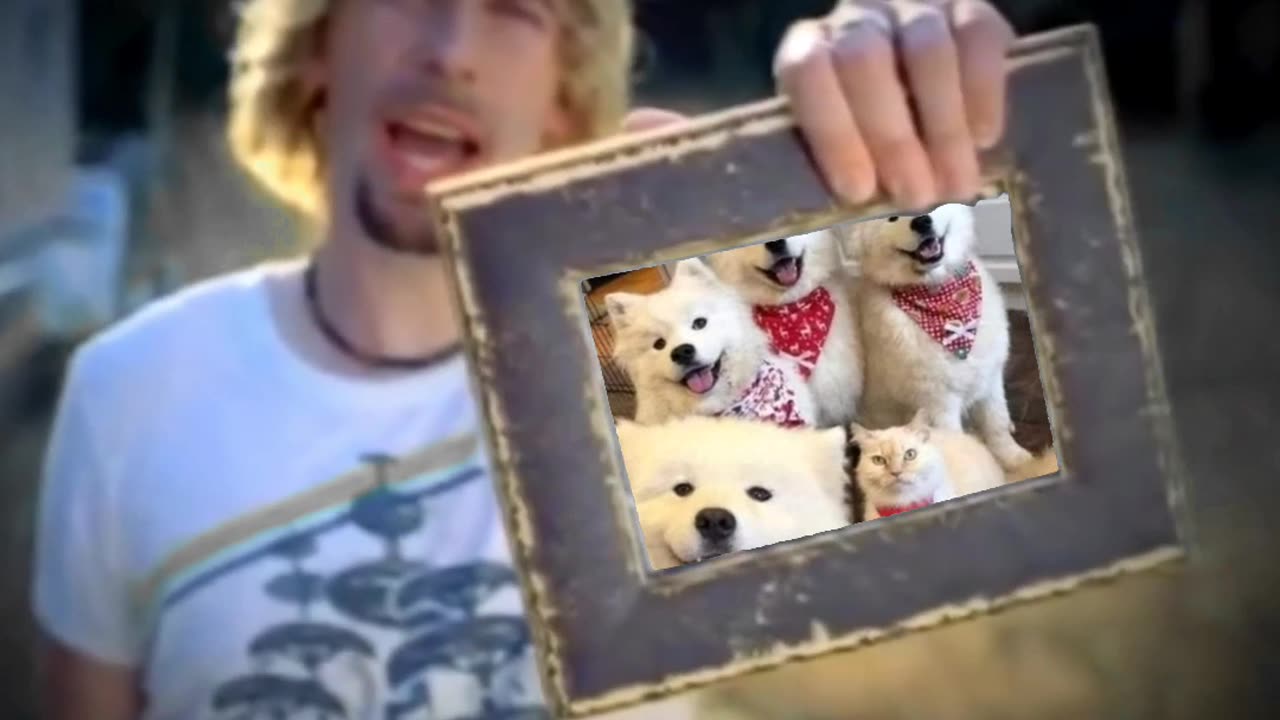 Nickelback meme