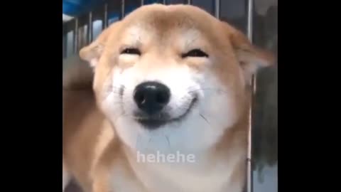 when they call u a good boi