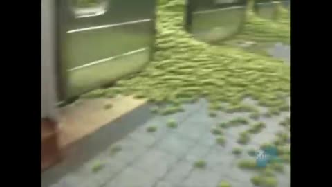 City Harvest - Subway Apples | Spot
