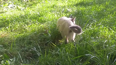 Touching grass with a friend