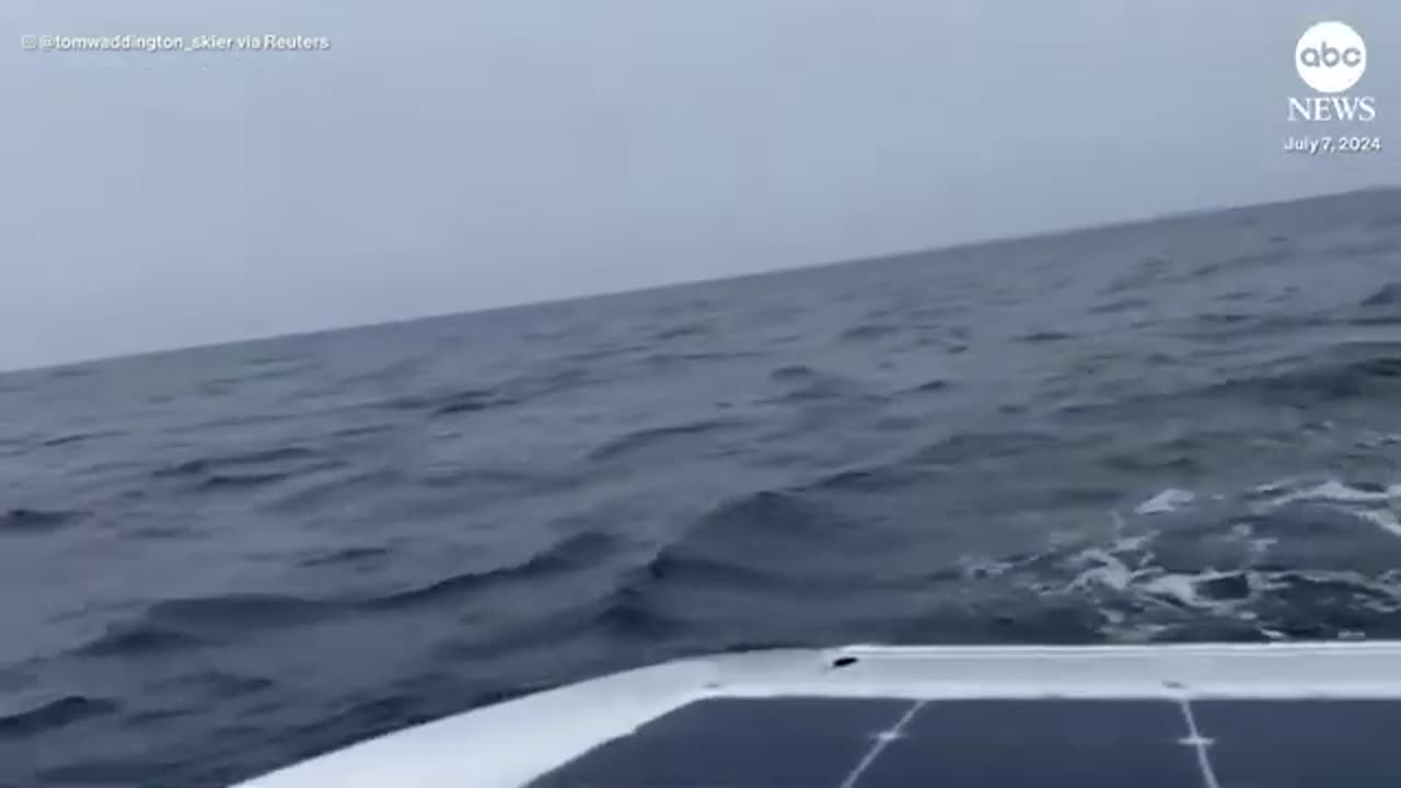 Ocean rower has stunning close encounter with huge pod of whales in the North At ABC News