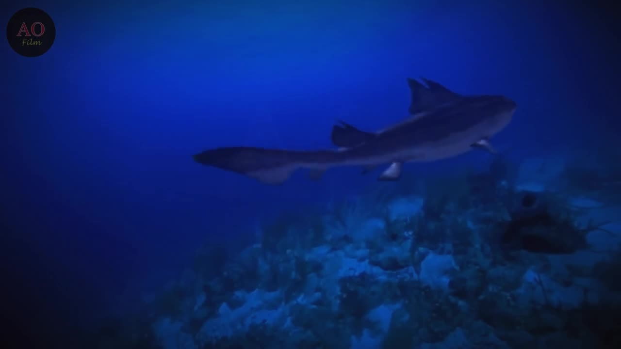 Dinosaurus penguasa laut