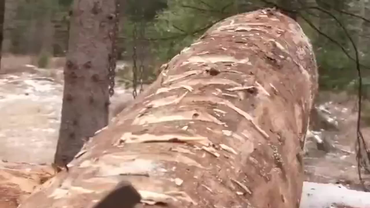 Time Lapse Building Log Cabin