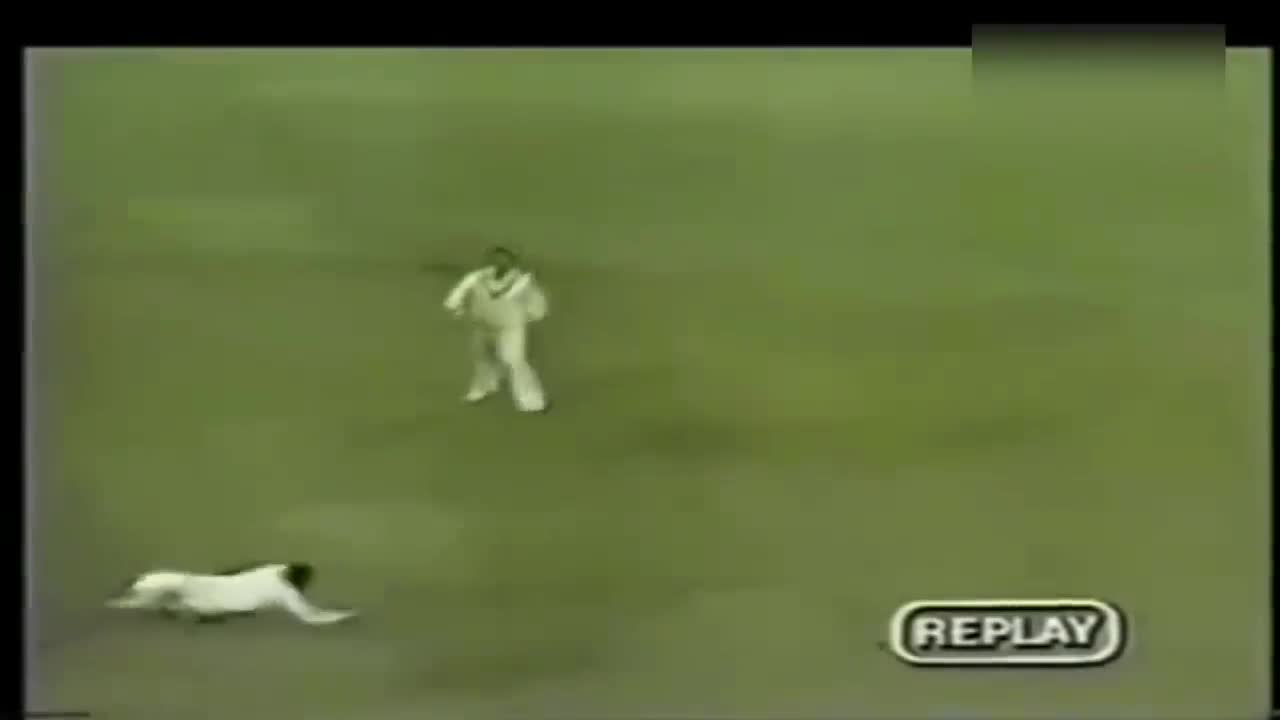 Top 10 Best Catches in Cricket History