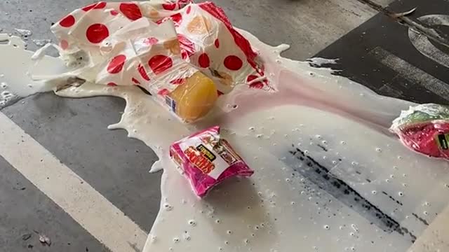 This was a dog act! 😂