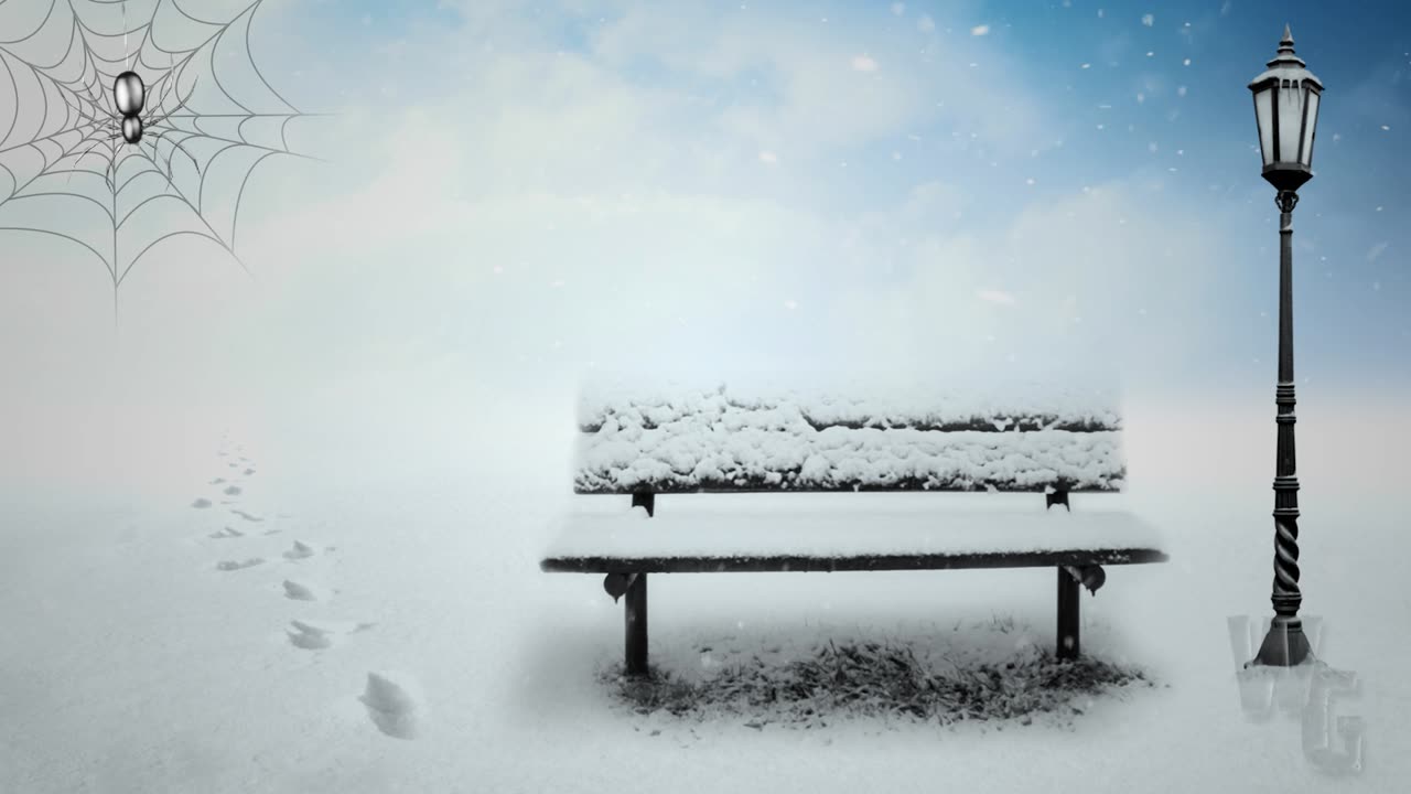 Lonely Bench and Foot Prints in a Snowstorm Loop