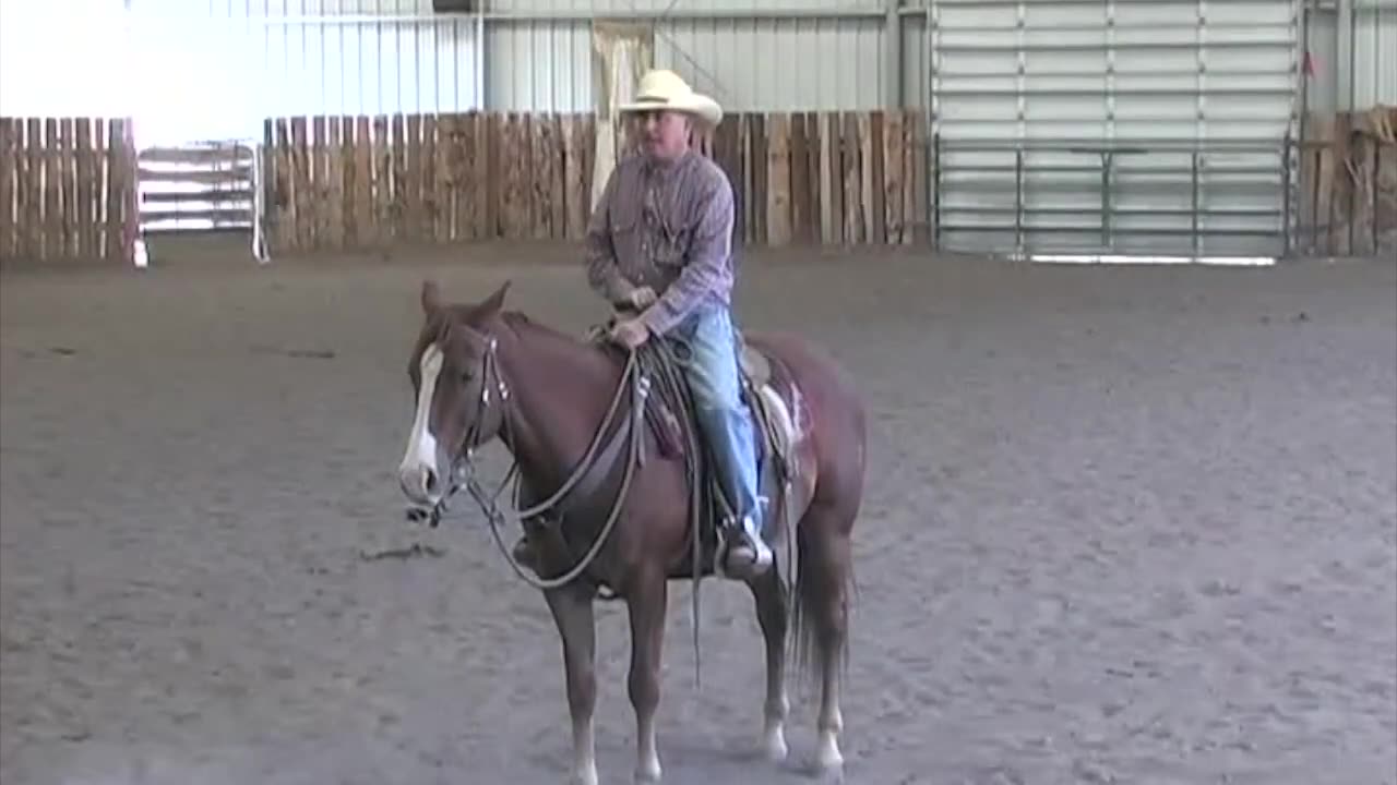 Teach Your Horse To Back Up, Both On the Ground.