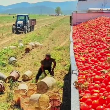 Respect #foryou #tiktok #respect #rumble #viral