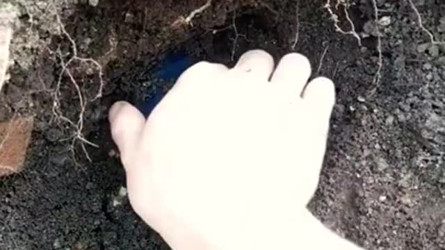 Awesome treasure pops out!