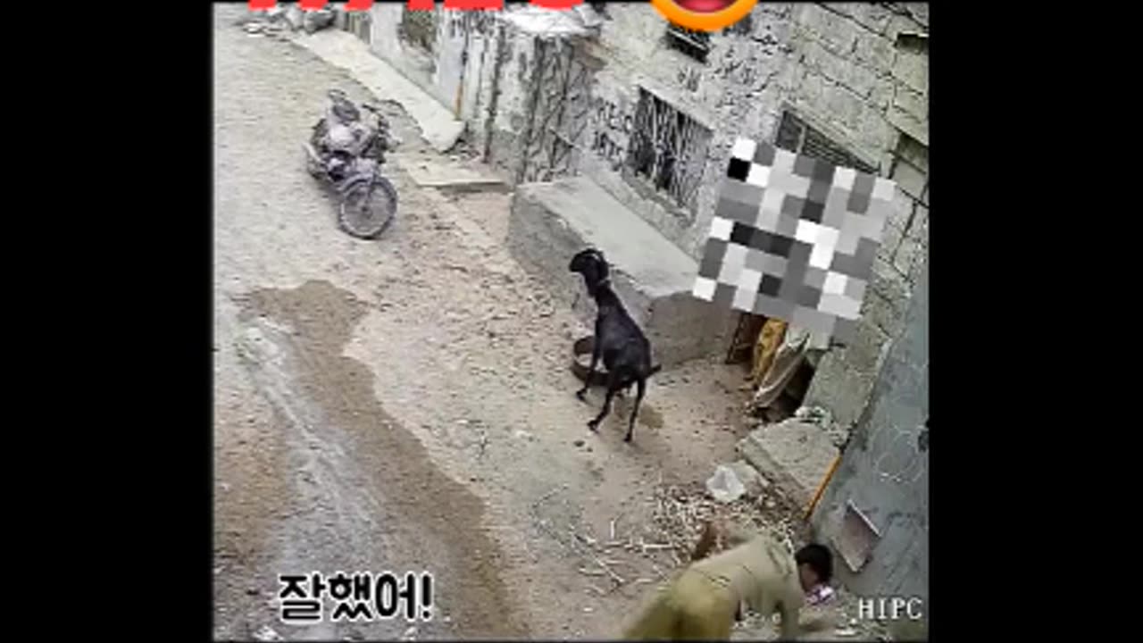 Wow Amazing. Bikers in Public