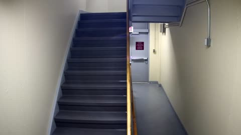 3865FHOB01Stair10_2021-01-06_14h00min01s243ms.mp4