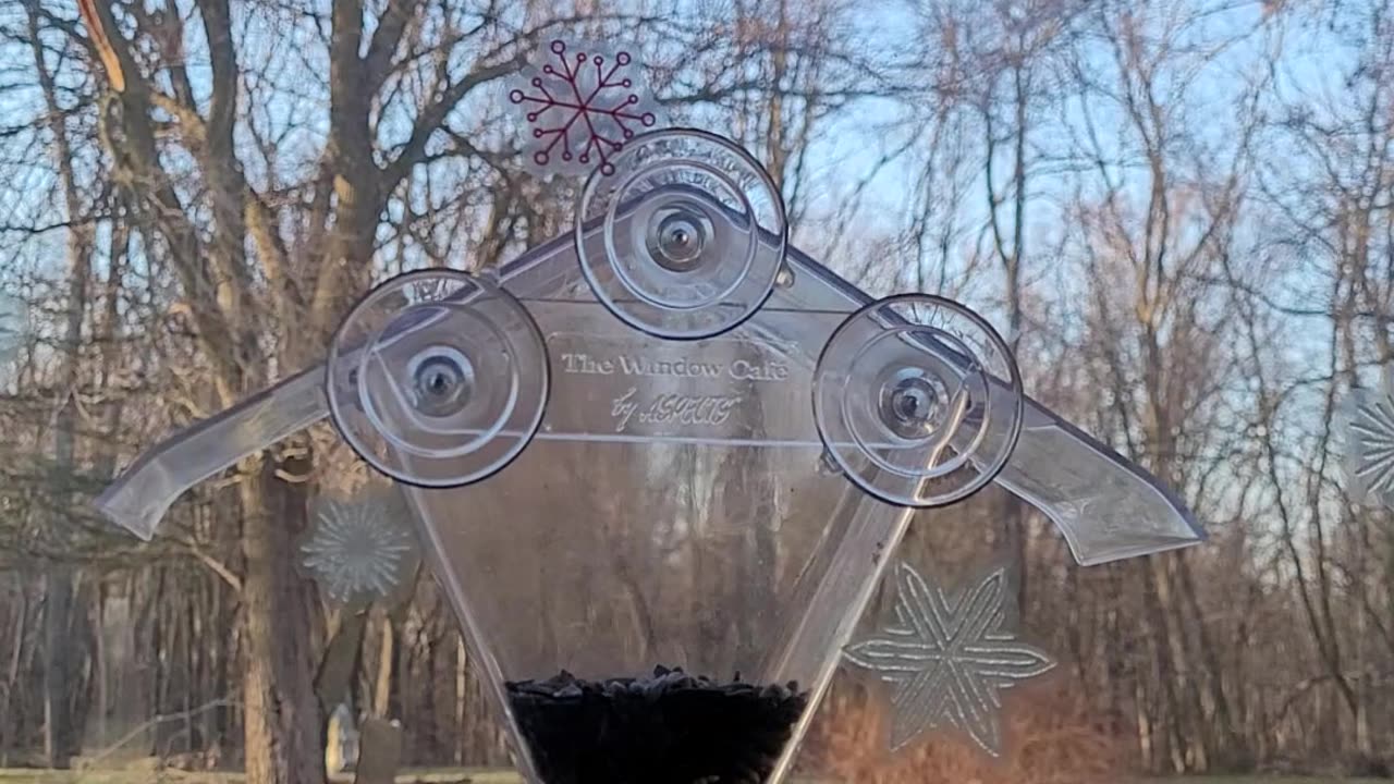 Breakfast with the birds and percolating coffee