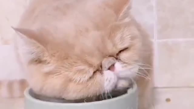 It's a face that counts. Drinking water is so cool.
