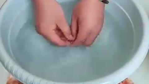 Best video