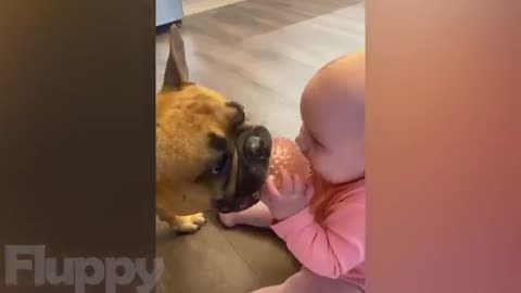The best dog 2023