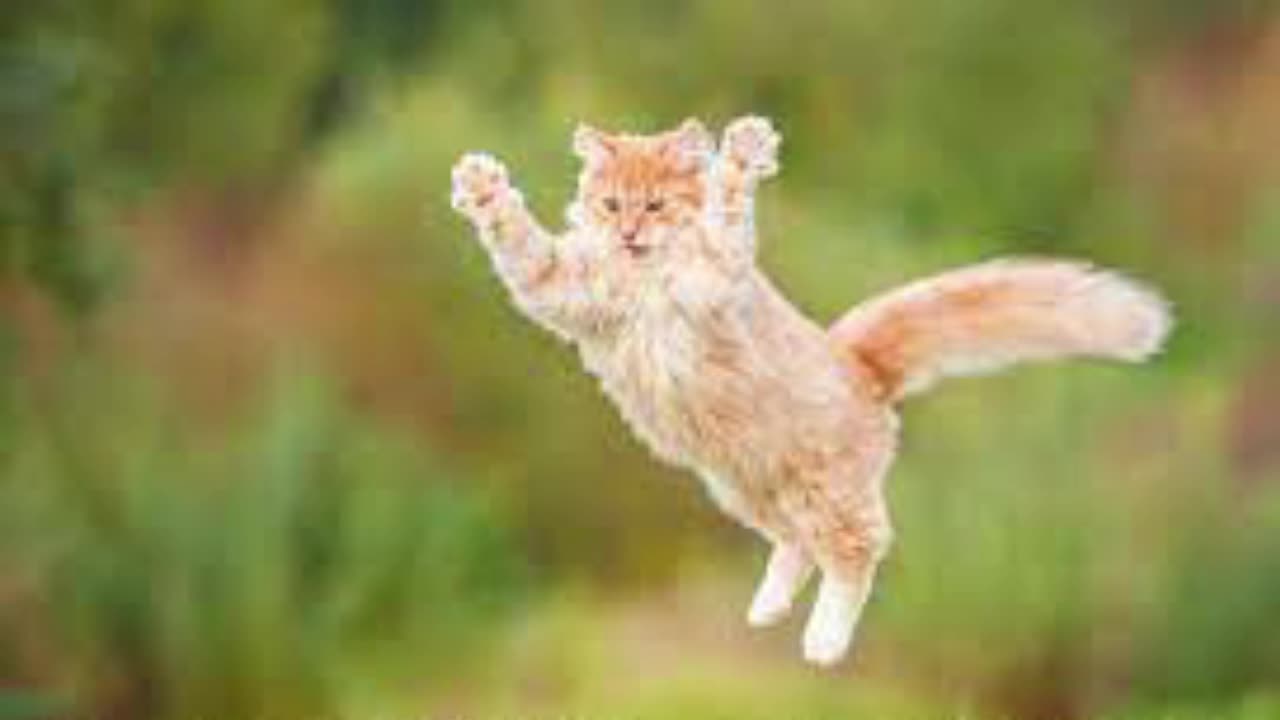 Test upcoming video2