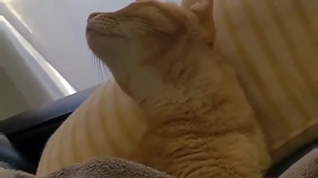 I like the sound of the wings of the air conditioner.