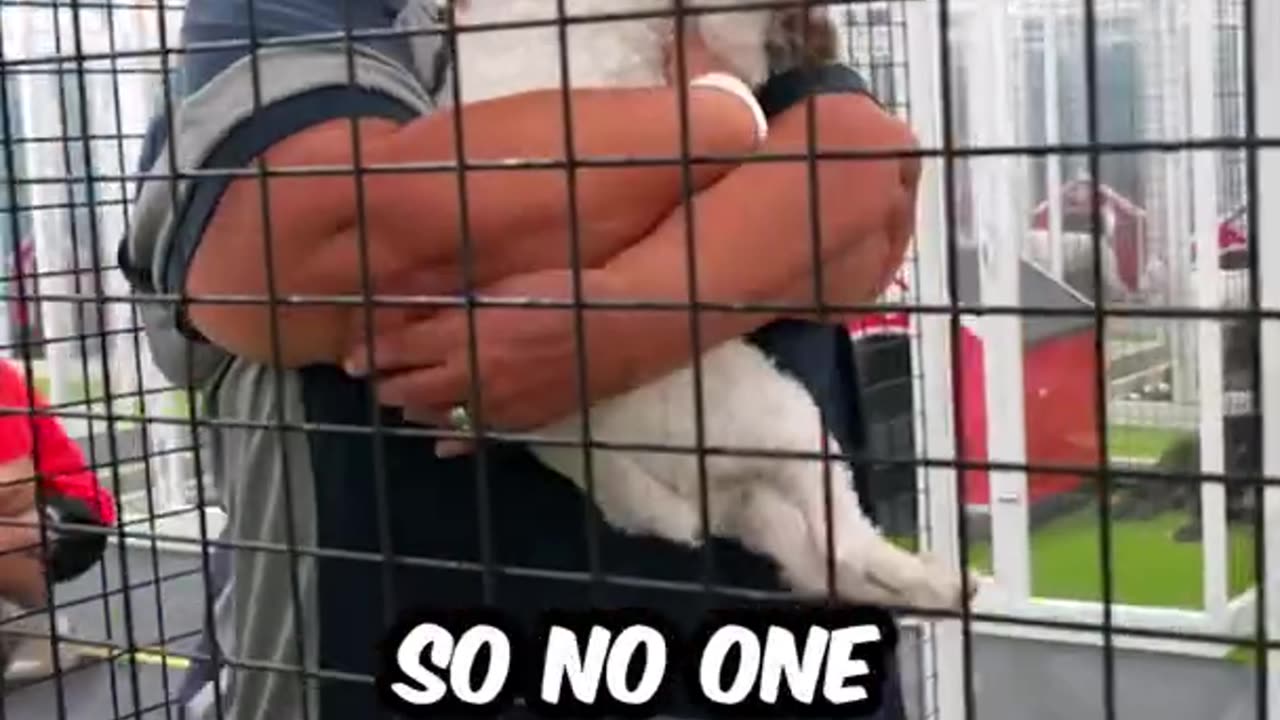 We found 100 abandoned dog's and tried to get tham all adopted I..