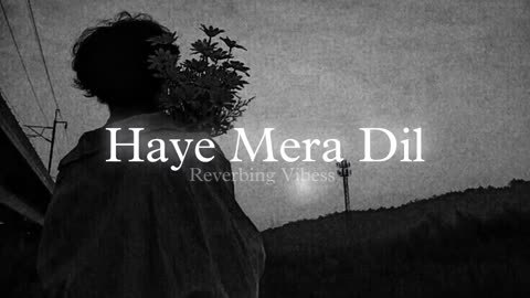 haye mera dil slow reverb