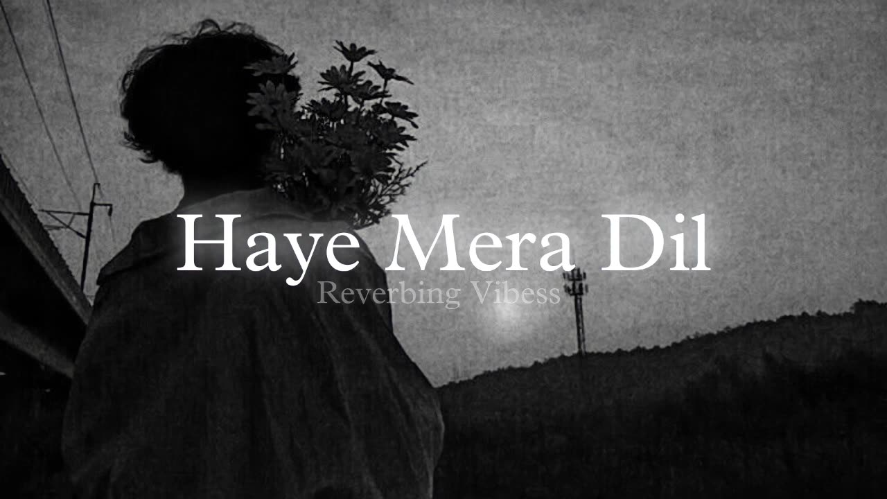 haye mera dil slow reverb