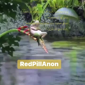 God hears our prayers & is making a way | Weather the Storm patriots