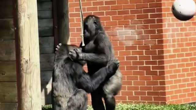 Typical couple fight to makeup again