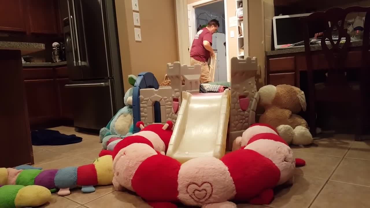 Puppies Storming The Castle By Enchanted Retrievers Puppies on Parade #5