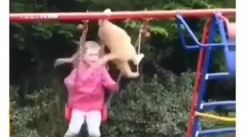 FUNNY VIDEO ON USA BRAIND
