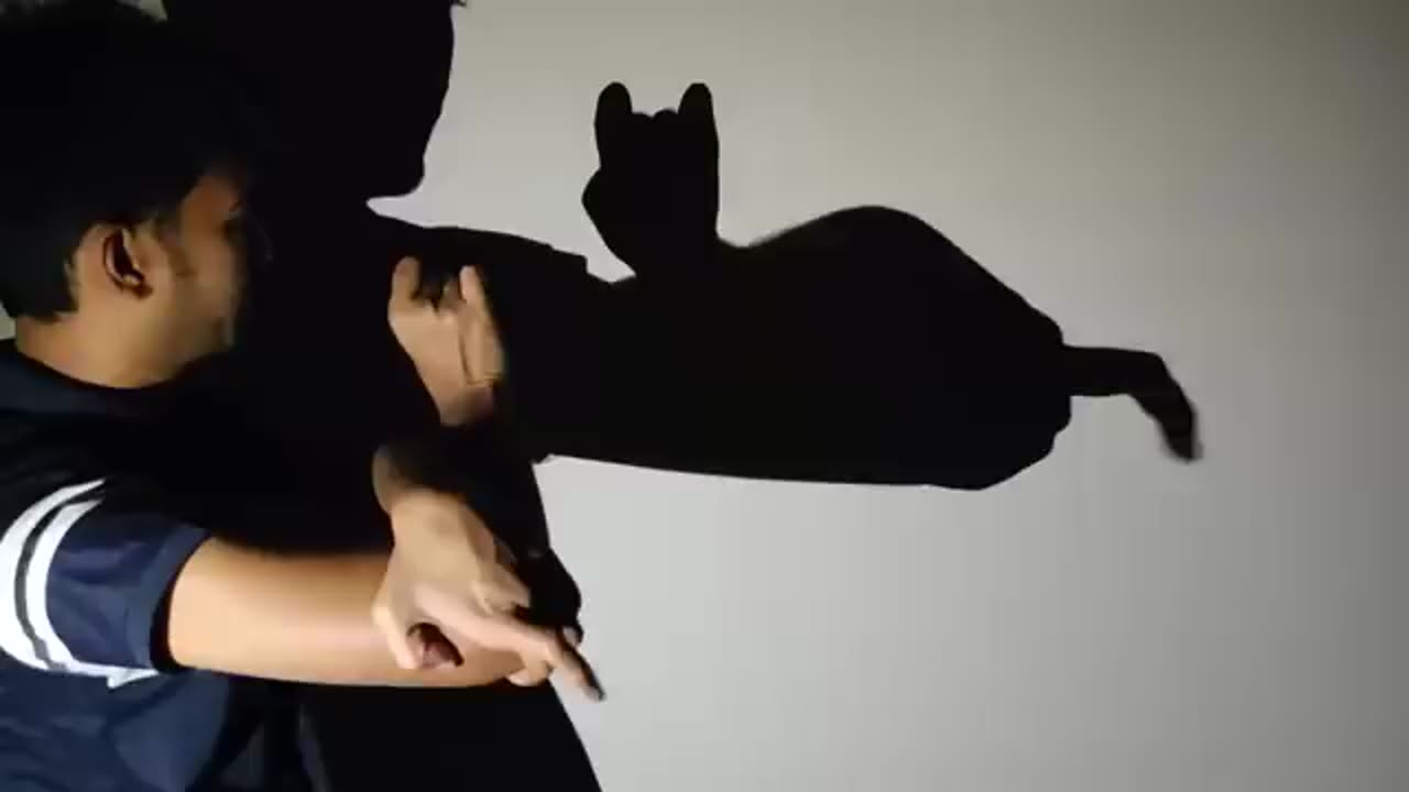 Shadow animals