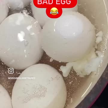 THERE’S ALWAYS ONE BAD EGG 😂