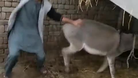 How to get the most out of the most