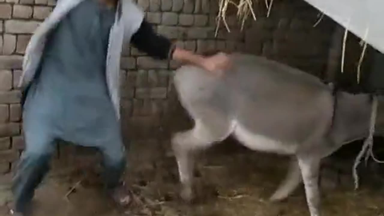 How to get the most out of the most