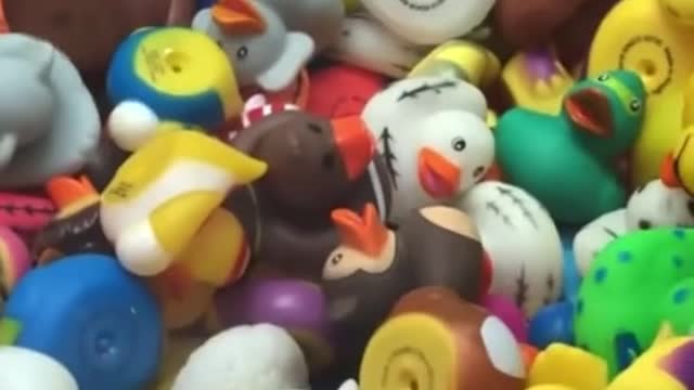 15_whytheduckieonekindagohard#sturniolotriplets#sturniolotripletsedit#sturnthishitup#chrissturniolo#