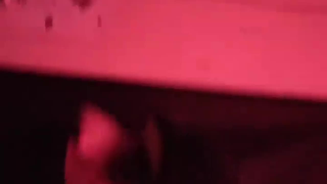 Illuminati real red room footage