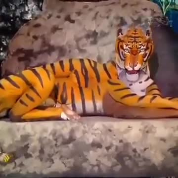Amazing creativity | Tiger's in theater