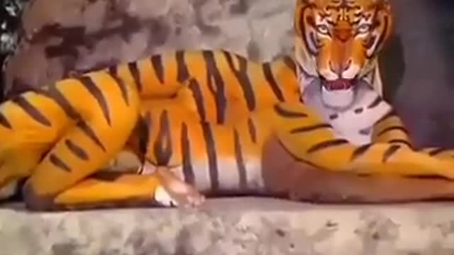 Amazing creativity | Tiger's in theater